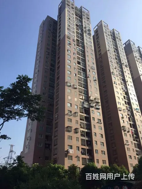 4号线铁机路地铁 岳家嘴 欢乐大道 金地广场 精装 - 图片 10