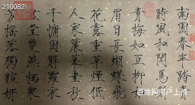 宋 赵佶山花舞蝶图精品卷 画心题跋总长 512×3 - 图片 8