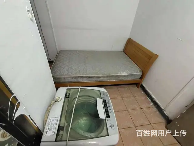 出租 吉大 吉莲新村 单身公寓 便宜 只此一套 - 图片 6