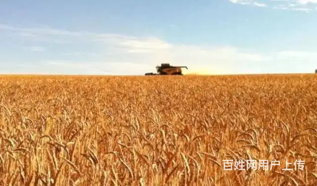 小麦加工厂招普工司机质检搬运工库管包吃住 - 图片 2
