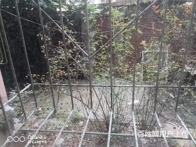邢钢东区一层带院54万  普通住宅 简单装修 - 图片 3