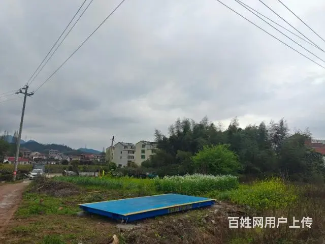 金华地磅厂，全新地磅 - 图片 2