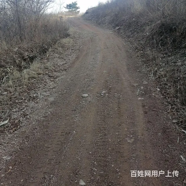 荒山转让 - 图片 3