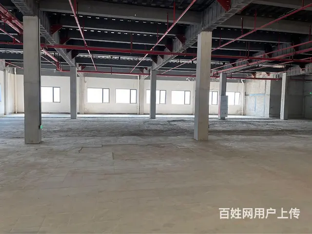 珠海前山明珠南路产业园招租 - 图片 7