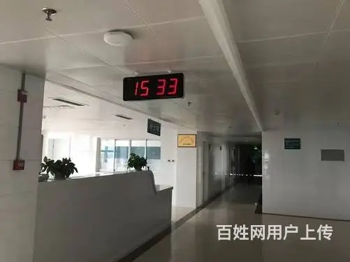 雷锋大道旁420平米综合楼带租约出售（价格实惠）编1046 - 图片 3