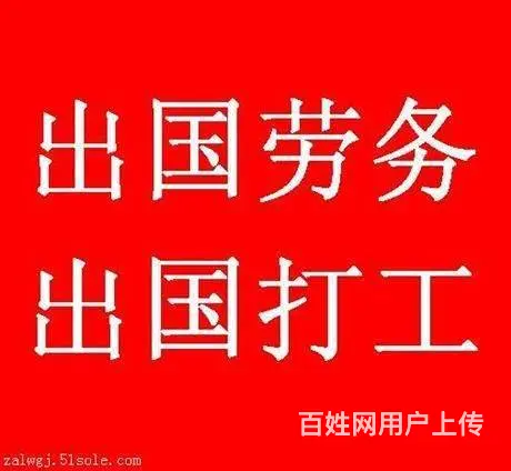 专业渠道美国/新西兰/加拿大出国劳务不成功不收费 - 图片 3