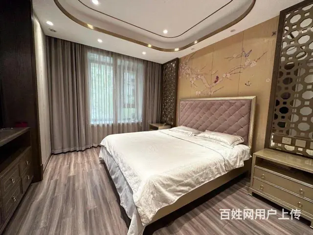 上新 外滩一带二叠墅 挑空客厅 300万豪装 带地下室花园 - 图片 3