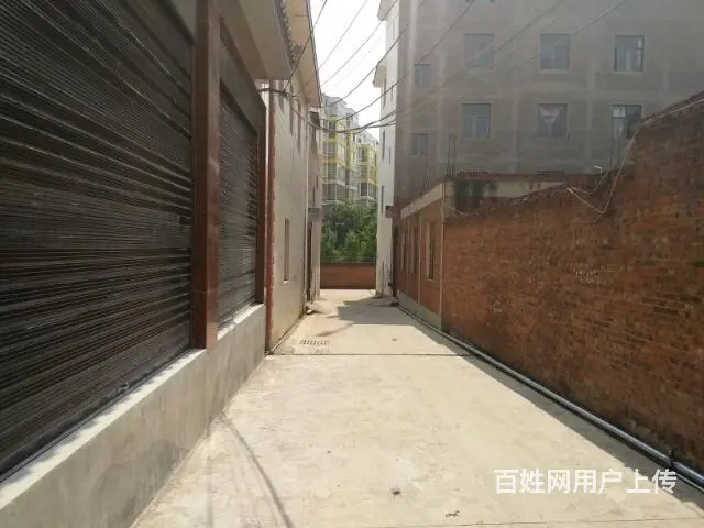 自家新建房屋出租 - 图片 1