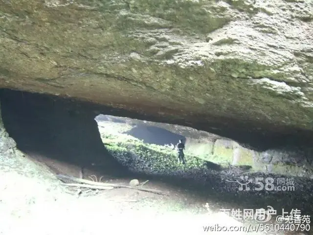 避暑圣地天然氧吧 - 图片 2