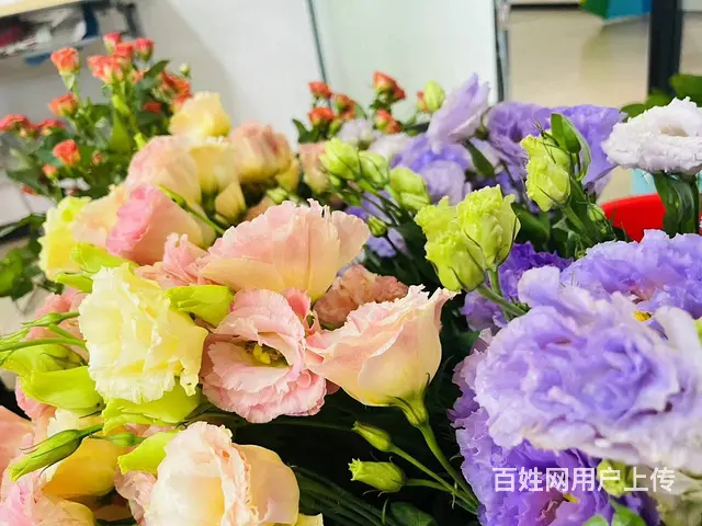 苏州花艺师前景怎么样？学完可以直接开花店吗 - 图片 1