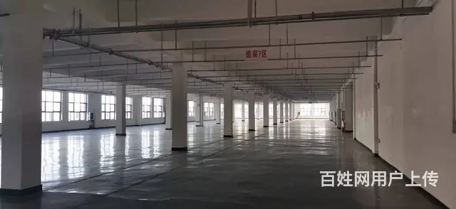 （个人）点军1600平米单层厂房出租，层高8.5米，空地大 - 图片 6