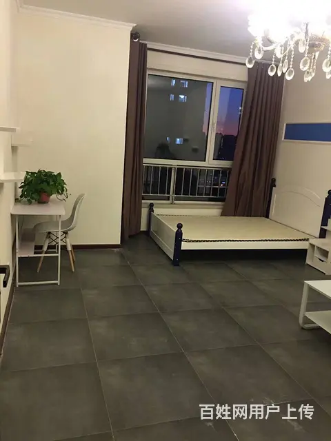 呼得木林新天地 公寓1室0厅1卫 精装修 - 图片 1