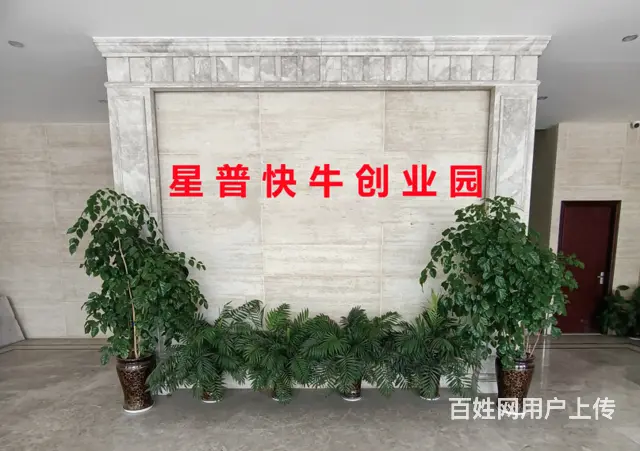 钱塘区河庄地铁口直播电商2000平办公室出租非中介拎包办公 - 图片 1