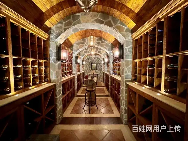多套盛和天下双拼别墅 800米精装 双车库 300花园 - 图片 3