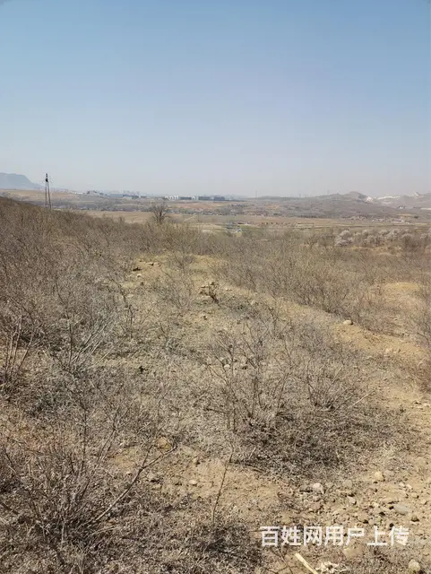 出售荒山25万 - 图片 5