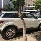 兴安住房车辆绿本银行抵押贷款,征信良好快至当天放款