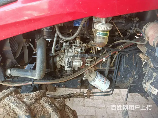 双力美洲豹 - 图片 2