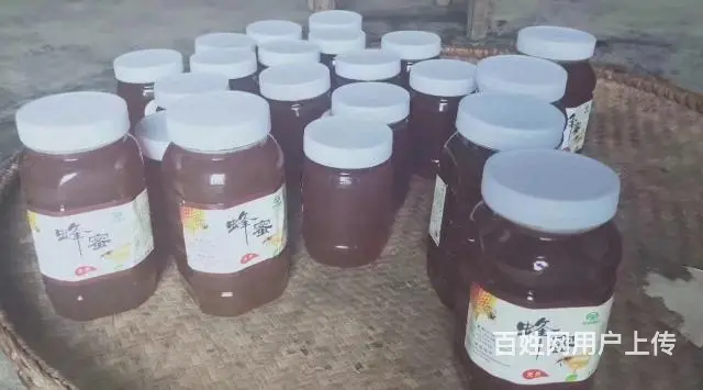 自家养的野生蜂蜜 - 图片 1