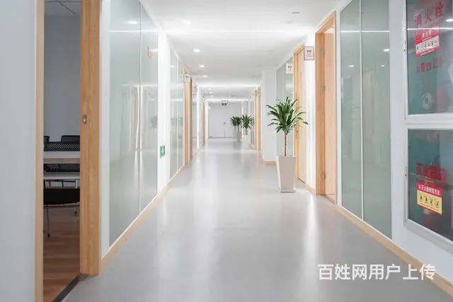 杭州西诺英语新托福80分基础衔接课程 - 图片 1