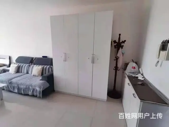 丽都新城1000元可短租 押一付一 随时住 - 图片 7