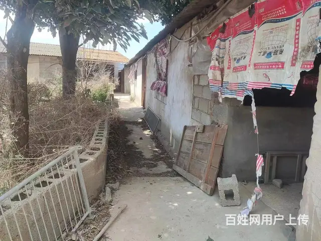 养猪场求租 - 图片 3
