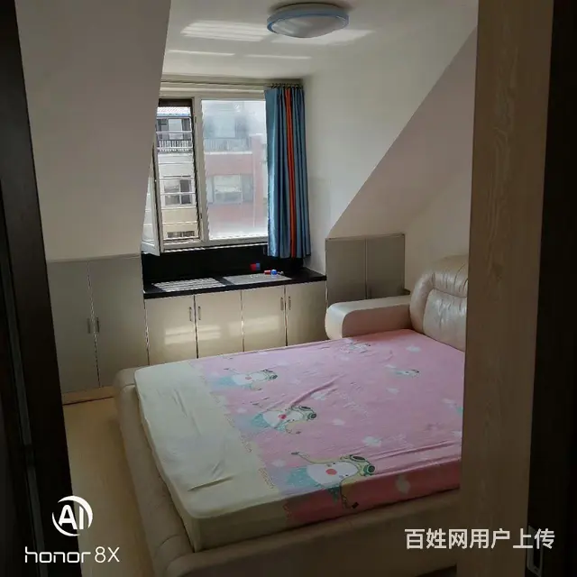 我是房主，房子干净长年出租，不租养宠物的 - 图片 2