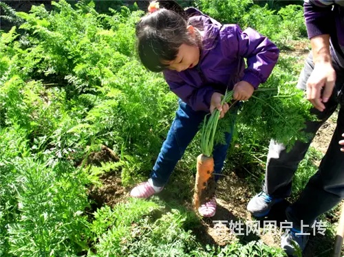 生态休闲团建新体验 | 广州帽峰山生态园 - 图片 1