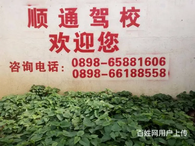 海口考驾照比较轻松容易的驾校13907592139 - 图片 1