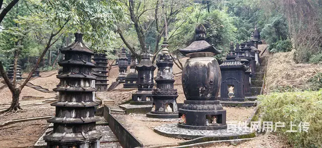 农家乐野炊团建，打造团队凝聚力 - 图片 4
