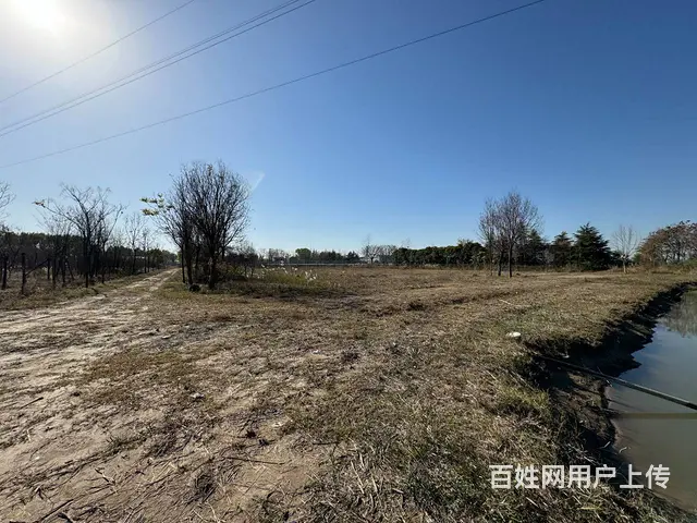 （徐州找店网）北区38亩鱼塘和土地出租 - 图片 4