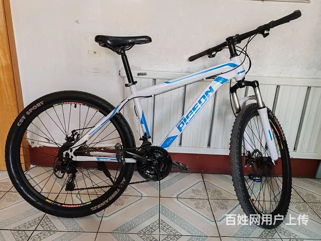26寸飞鸽山地车 - 图片 2