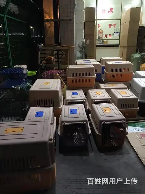 徐州宠物托运（猫狗）邮寄速运空运 （2023今日 推荐运输） - 图片 2