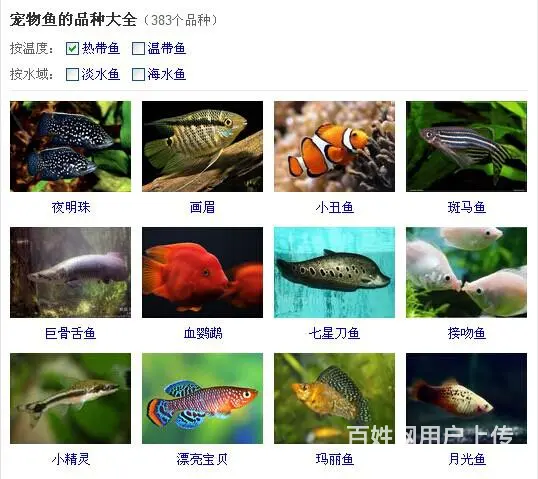 辽宁大华水产网箱拆除赔偿评估 - 图片 3