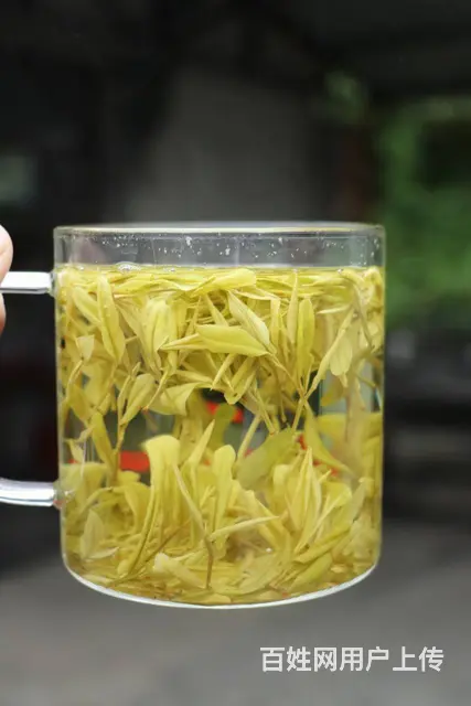 谷雨黄金芽 消暑解渴提神 小戴白茶直销 - 图片 1
