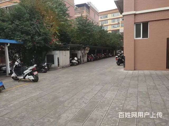 龙盛苑 次新小区装修清爽看房联系 - 图片 9