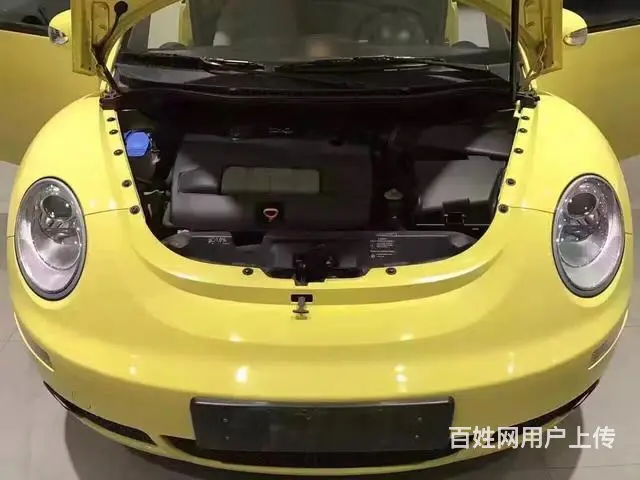 大众甲壳虫掀背 [进口] 2009款 2.0L 自 - 图片 9