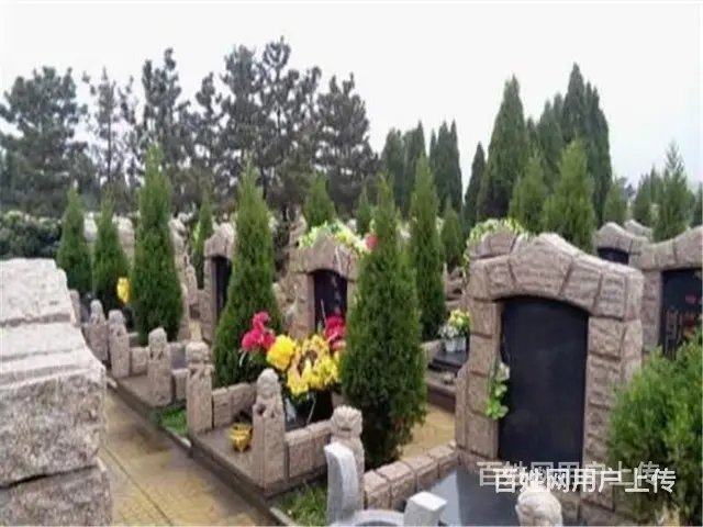 昆明青龙园电话 - 图片 8
