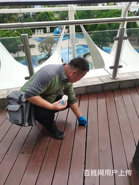 武汉江夏蔡甸新州灭臭虫灭蟑螂 除四害服务电话 价格 - 图片 4