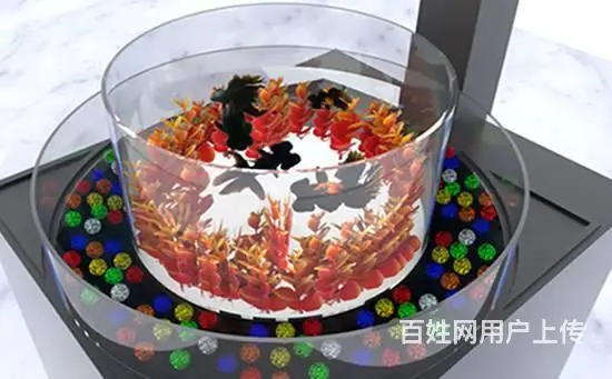 亚克力鱼缸造景的五个步骤 - 图片 1