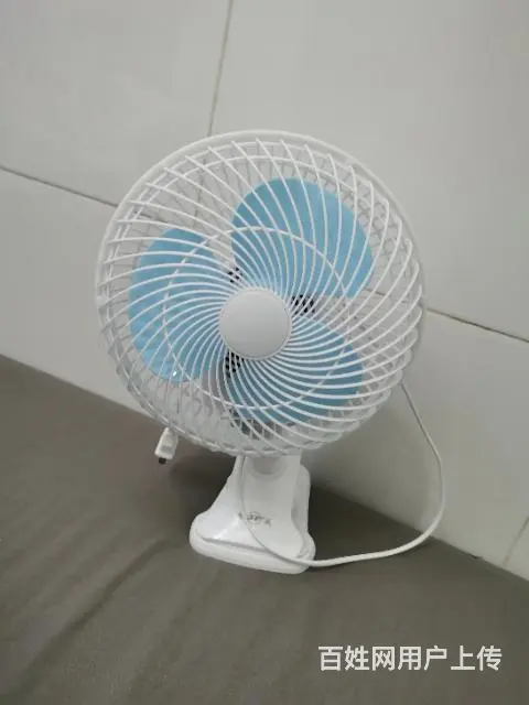 网红挂布手机支架全身镜水壶氛围灯凳子小桌子鞋架 - 图片 11