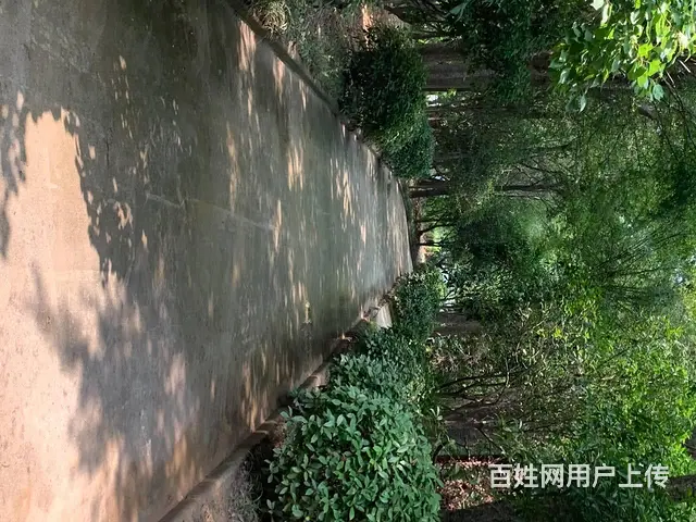 （城市在线找房免费）新城区观光路润泽生态园酒店鱼塘出租 - 图片 4