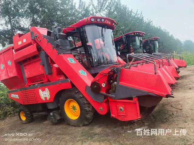 出售22年俊峰茎穗兼收 - 图片 2
