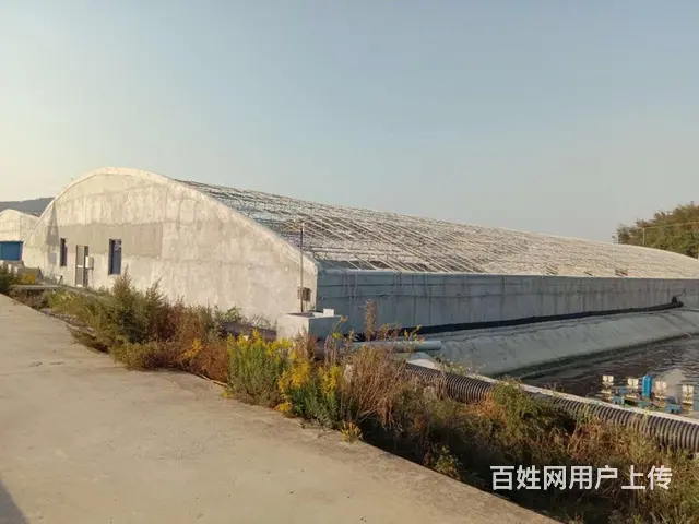 转让出租养殖场加土地十亩 - 图片 2