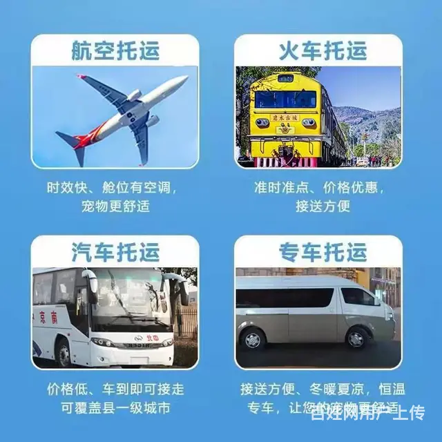 洛阳伊川宠物托运（猫狗）邮寄速运空运 （2023今日 推荐运 - 图片 1