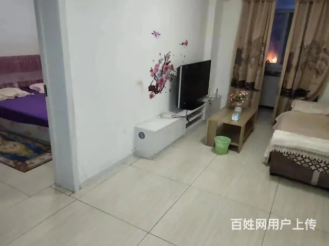 房屋出租 - 图片 2