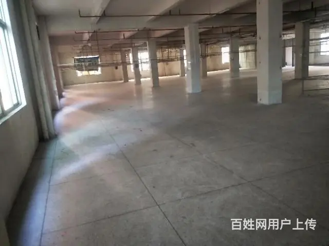 出租普宁流沙东埔周边厂房仓库3一4楼4800平方 - 图片 5