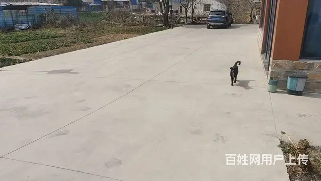 薛家任葛村委花开西庄附近农家乐，转让或出租价格面议， - 图片 9