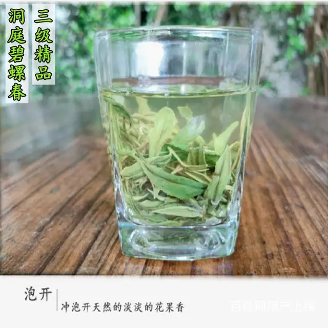 三级碧螺 . 苏州东山碧螺春茶叶正宗洞庭碧螺春绿茶 - 图片 4