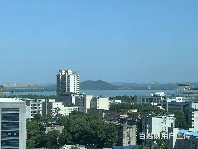 东湖春树里 岳家嘴地铁 接待猛火灶 中北路 德成国 - 图片 12