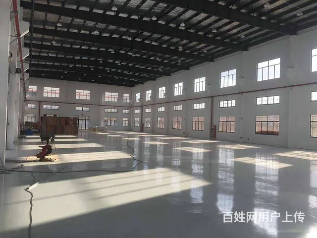 独立精装修917平米标准厂房出租 - 图片 4